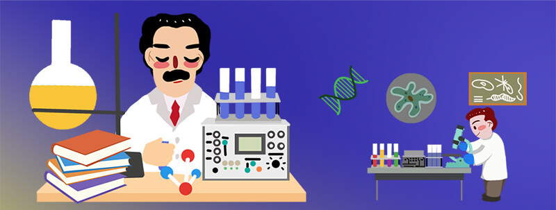 日本藤素功效研究