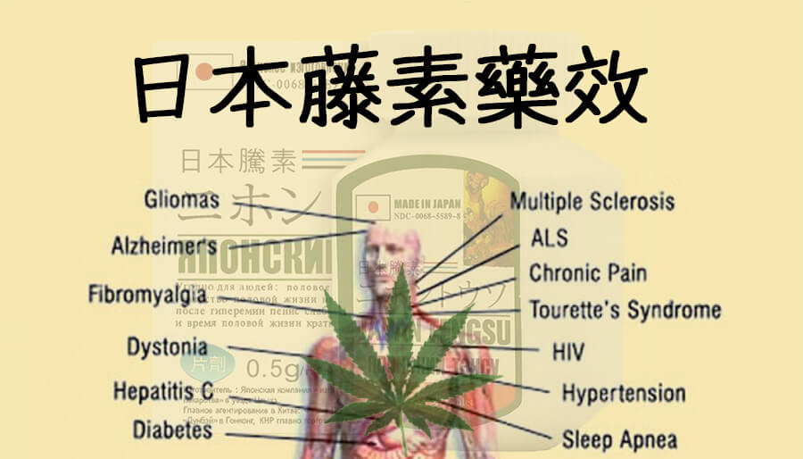 日本藤素藥效